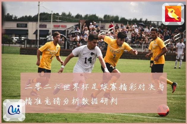 二零二六世界杯足球赛精彩对决与精准竞猜分析数据研判