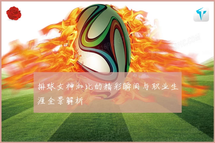 排球女神加比的精彩瞬间与职业生涯全景解析