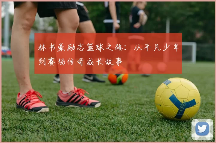林书豪励志篮球之路：从平凡少年到赛场传奇成长故事