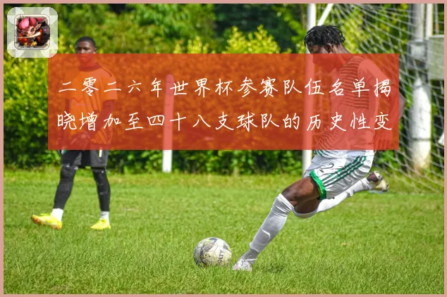 二零二六年世界杯参赛队伍名单揭晓增加至四十八支球队的历史性变战术观察